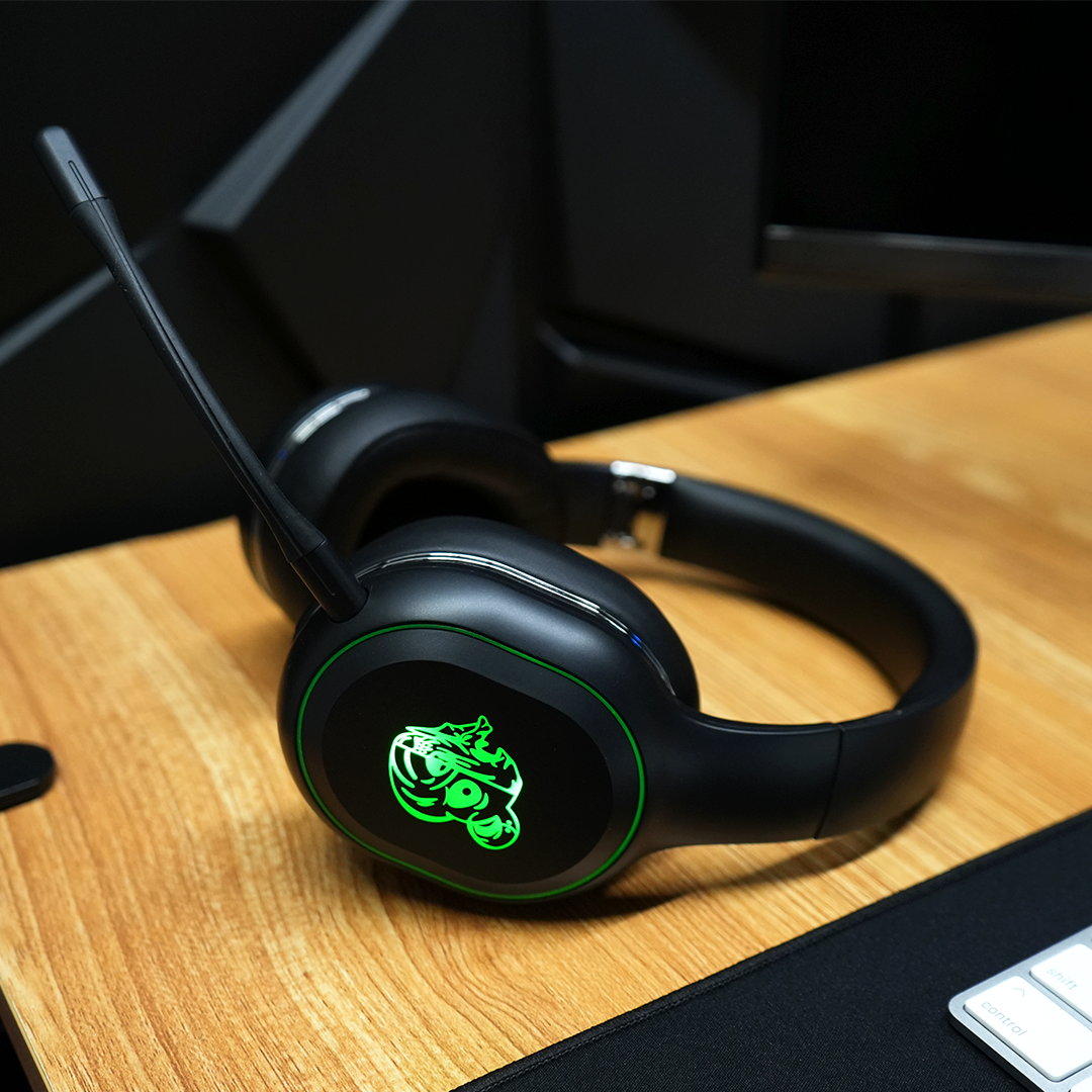 HYBERNATION 5c  / HYBRID HEADPHONES (WIRELESS)