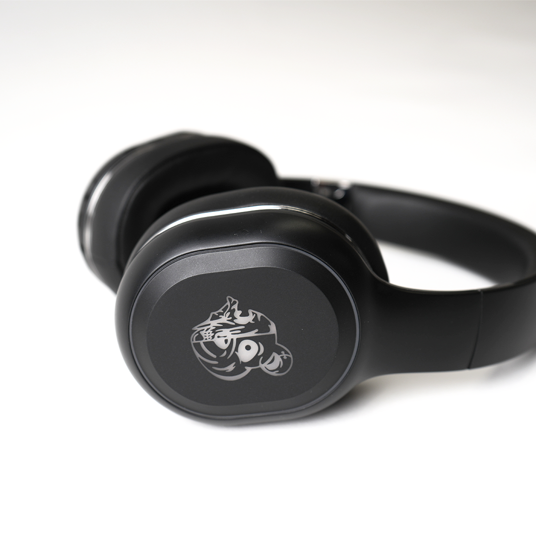 HYBERNATION 5c  / HYBRID HEADPHONES (WIRELESS)